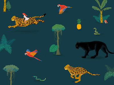 A night in the jungle