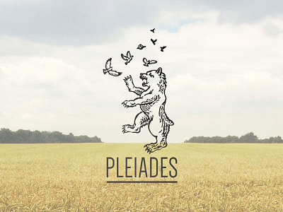 Pleiades logo