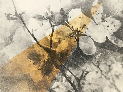 Texture Experiment 3 abstract flower grain grunge images monochromatic orange overlay shapes texture