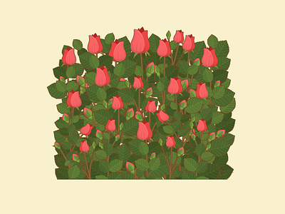 Roses book flowers illustration illustrator nature