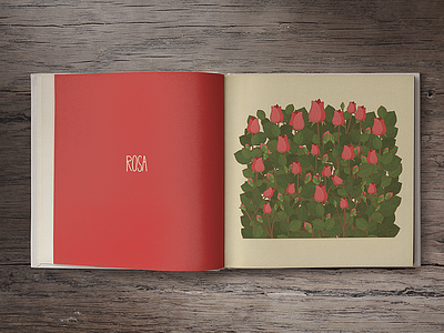 Rose (book spread) book flowers illustration illustrator nature