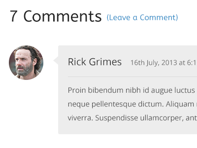 Simple Post Comments (feat. Rick Grimes) avatar blog blue comments flat grey rick grimes walking dead web web design website