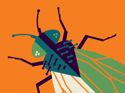 fly poster