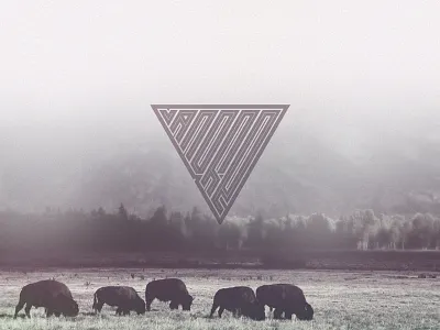 VANDRE LOGO brand buffalo design logo vandre