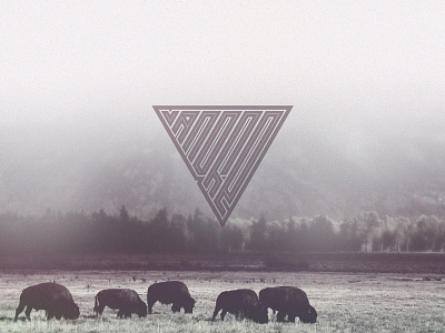 VANDRE LOGO brand buffalo design logo vandre