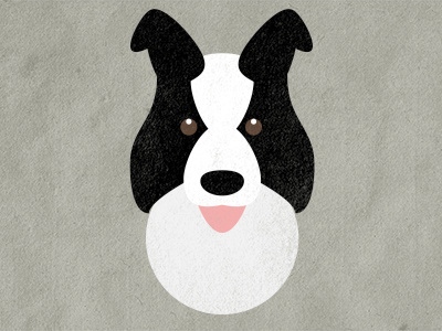 Border Collie bc border collie dog paper puppy texture