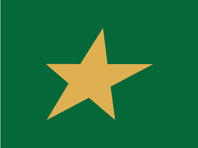 NHL Minimalistic Logos - Dallas Stars dallas logo minimal nhl stars