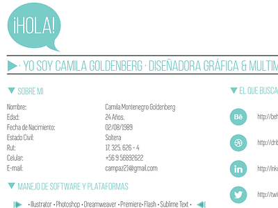 My Resume cv hello hola illustrator resume typography