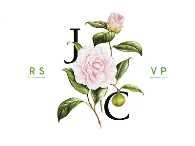 Wedding RSVP botany colorful rsvp typography wedding