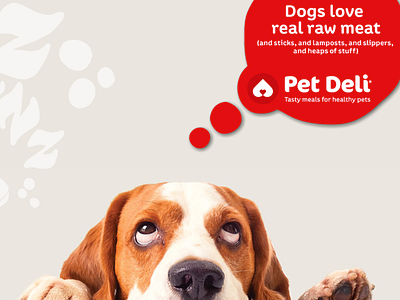 Pet Deli Website - - www.petdeli.co.nz cats dogs food pet pet food pets website