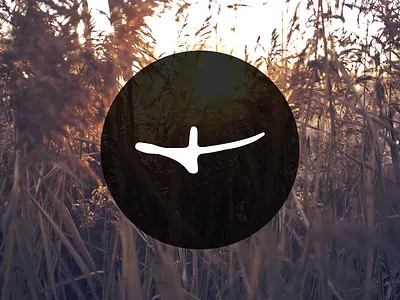 Secret project branding logo