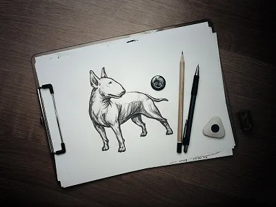 Bull Terrier bull terrier bullterrier dog pencil