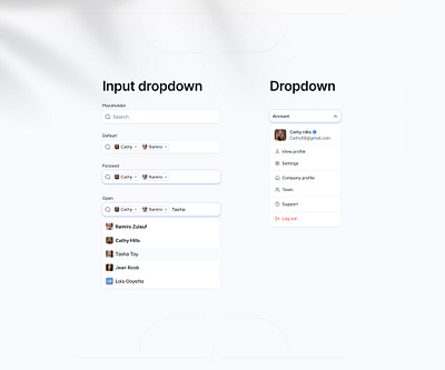 Dropdowns💥 account default design dropdown focesed input multi open profile project search search box select shot ui ux web website