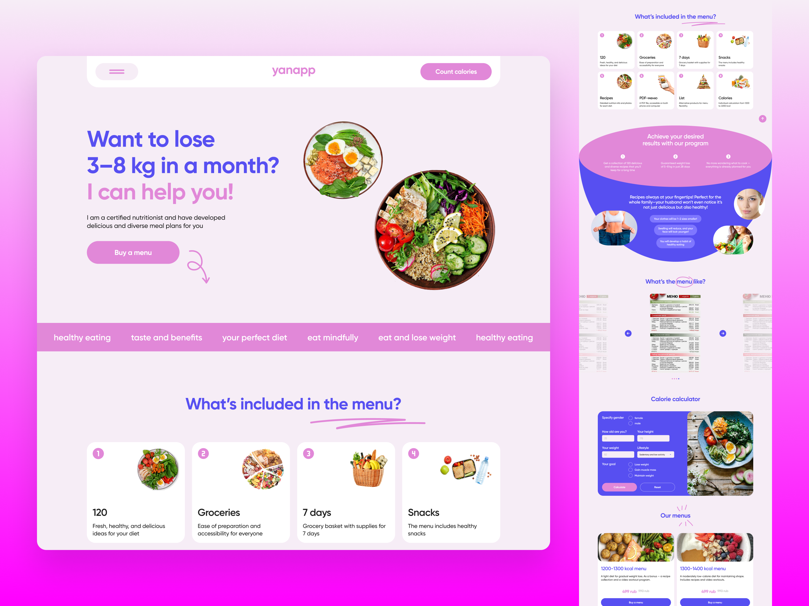 Example of Landing Page Design