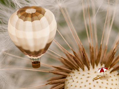 Sun bath balloon dandelion field flower flower photomanipulation wild flower