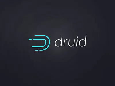 Branding | Druid color design focus lab branding linework logo logotype mark open photography source speed symbol