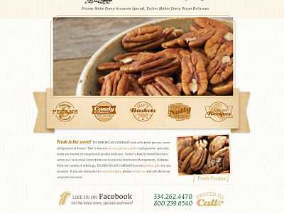 Tucker Pecan Website icons illustrations pecans texture website