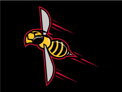 Cincinnati Stingers cincinnati hockey stingers