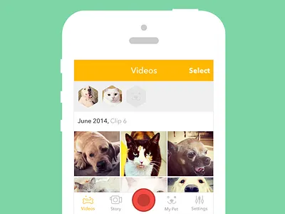Launch Screen app design feed flat ios iphone mobile pet screen ui ux video