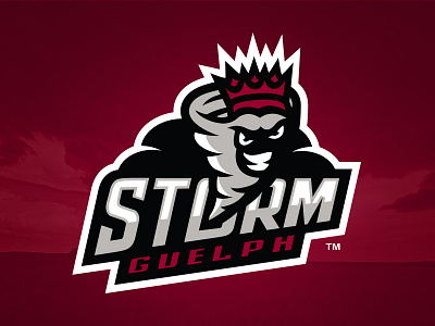 Guelph Storm branding gueph hockey king logo sport storm team tornado