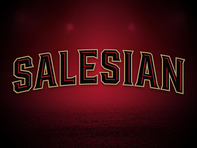 Salesian Pride — wordmark custom type logo monogram rebrand s salesian wordmark