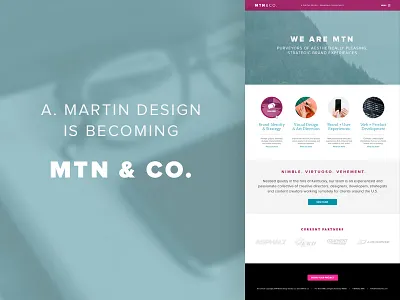 MTN & Co. (coming soon) branding proxima nova user interface web design
