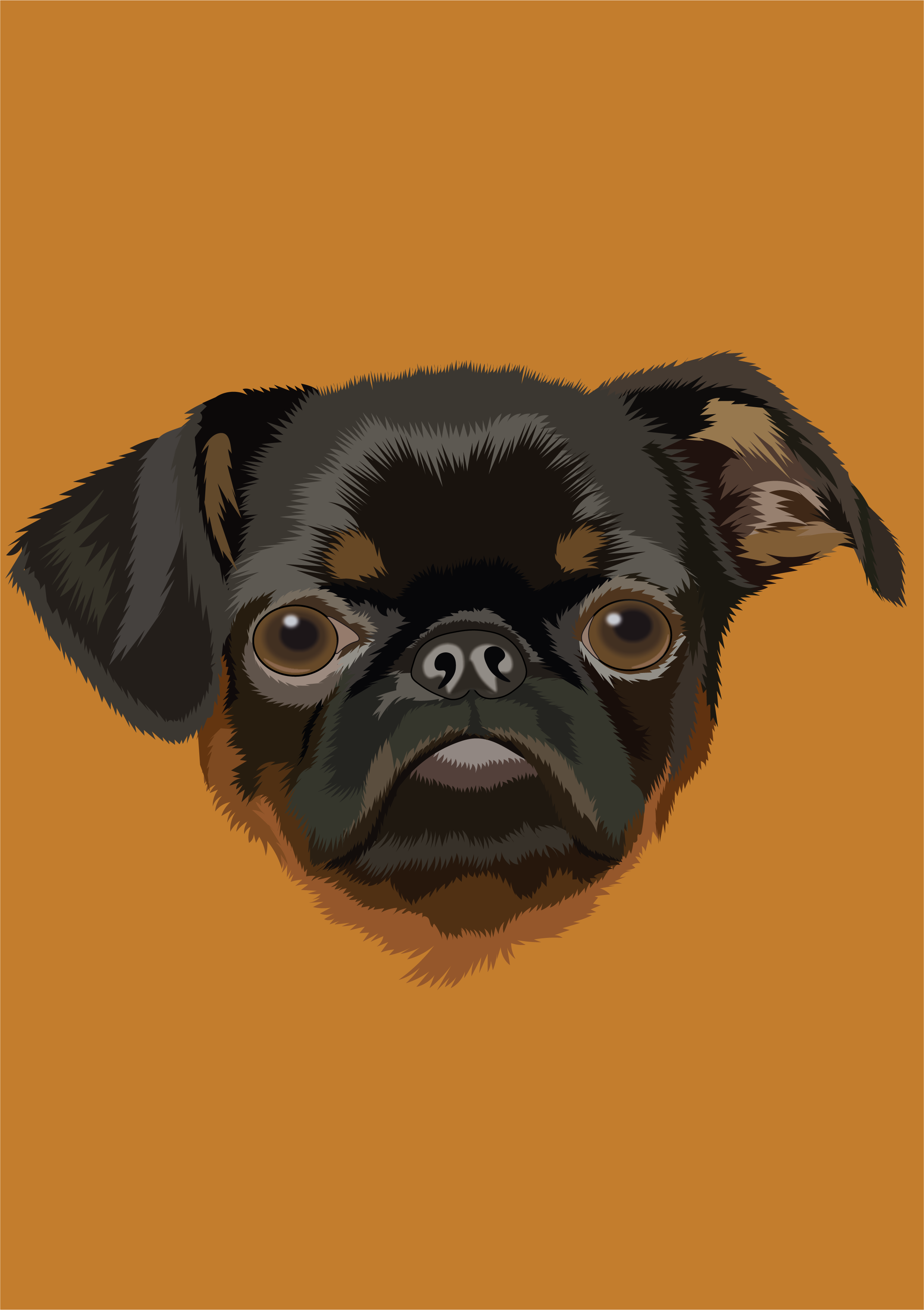 Brussels Griffon animal animalillustration art brusselsgriffon digitalart dog dogdrawing dogillustration doglover illustration minimalart pet petportrait portrait vector vectorart