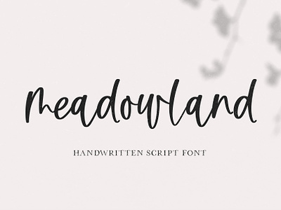 Meadowland | Modern Script Font