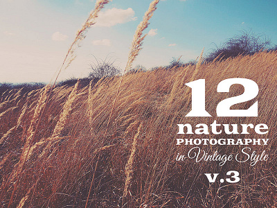 12 Free Nature Photos v.3 abstract background dealjumbo download free freebie image nature photo retro vintage wallpaper