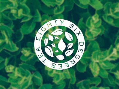 86 Degrees Tea Logo Concept boston bubble tea circle jsgd logo tea