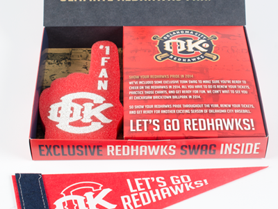 Ticket Renewal Piece baseball sports tickets