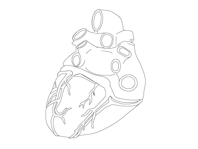 Heart Linework anatomy and black bw linework white