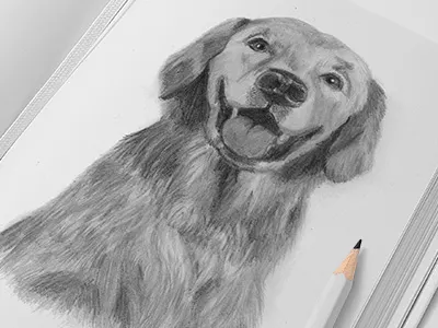 Illustration of dog art design dog draw drawing hand illustration. pencil picture pugacheva sketch