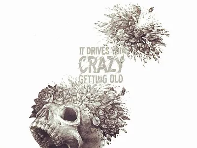 It drives you crazy getting old bullet death flower illustration lorde music poster roses skull type typography