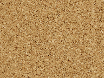 Apple iPhoto Cork Board Texture (2012) corkboard iphoto places texture