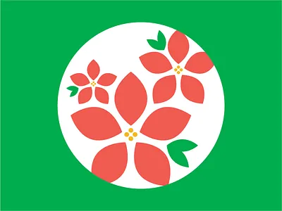 poinsettias christmas poinsettias xxxmas