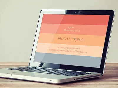 Shestmetria Website v2 macaw side project web design website