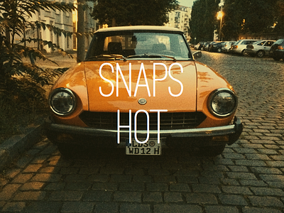 Snapshot alfa alfa romeo car ostrich sans