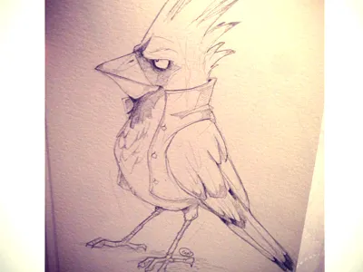 Cardinal Dribb cardinal character design doodle sketch a day