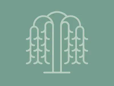 Willow Tree Icon awp design icon illustration ithaca line nature pictogram tree vector willow