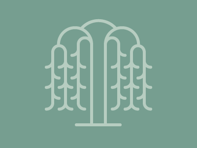 Willow Tree Icon awp design icon illustration ithaca line nature pictogram tree vector willow