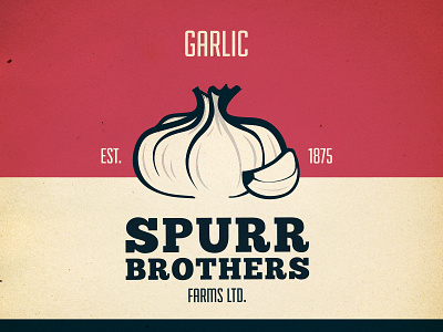 Garlic branding farming farms garlic illustration vegetable