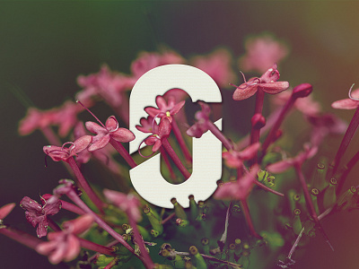 Personal Branding CJ branding flower incrustation logo macro nature