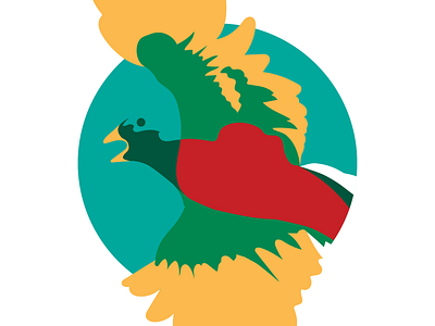 Quetzal Bird bird bright cintiq illustrator vector wacom