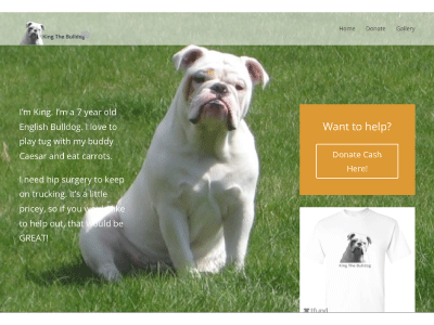 WordPress Website for Fundraiser css3 html5 php web design wordpress