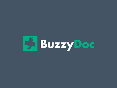 BuzzyDoc Logo bee branding buzz buzzy cross doc left logo medical plus right