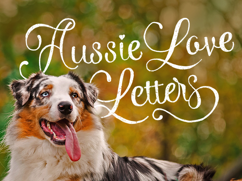 Aussie Love Letters by Dina Rodriguez on Dribbble