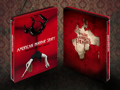 American Horror Story Steelbook american book fx horror scary show steel steelbook story tv