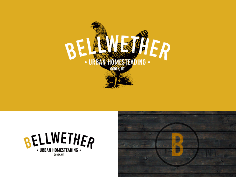Bellwether Branding bellwether branding chicken gold homesteading illustration logotype wood grain