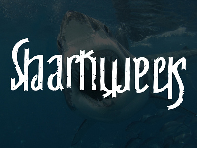 This ambigram bites... ambigram hand drawn hand lettering lettering shark sharkweek texture typography